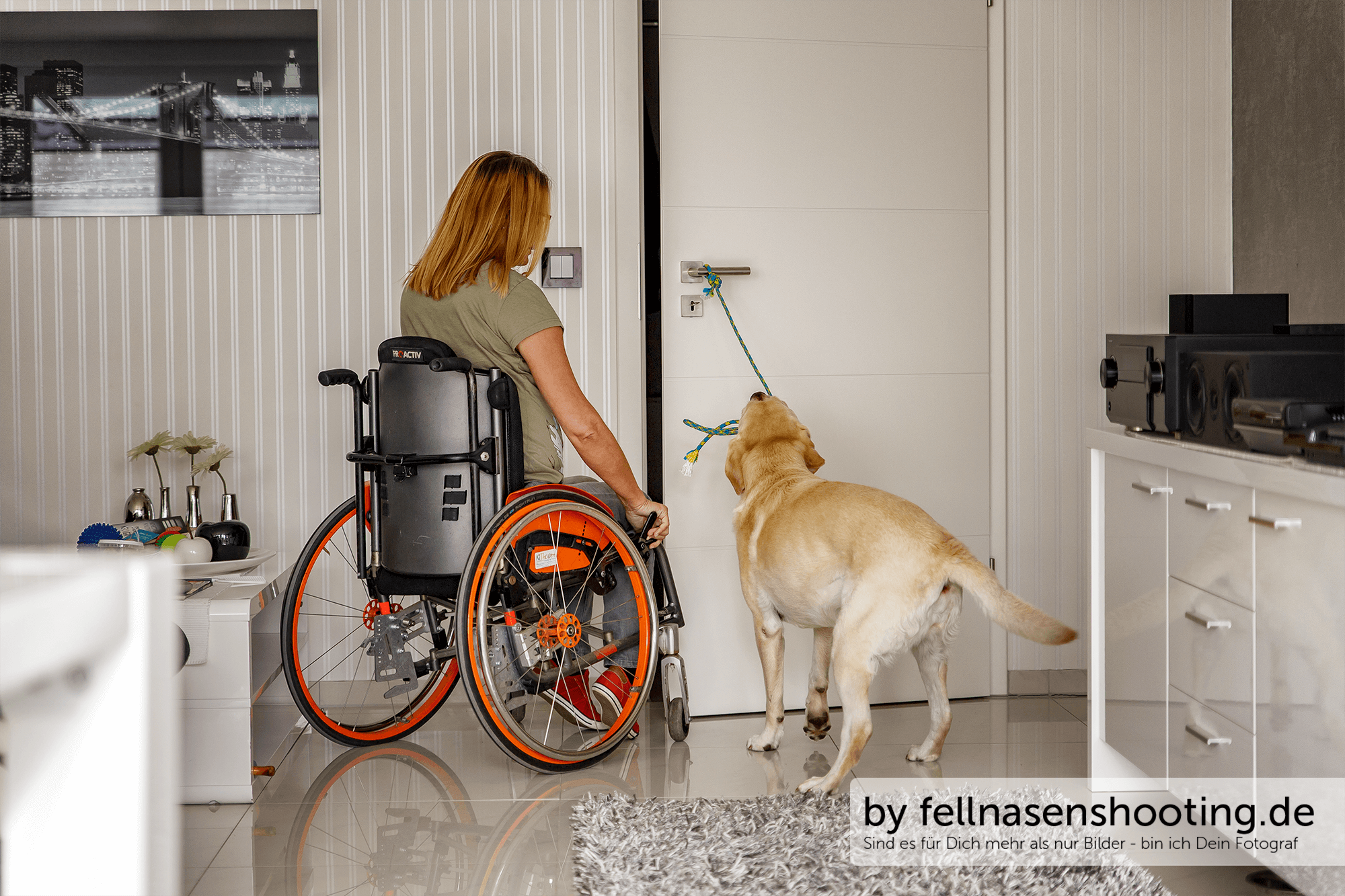 Assistenzhunde Deutschland AssistenzhundeDeutschland